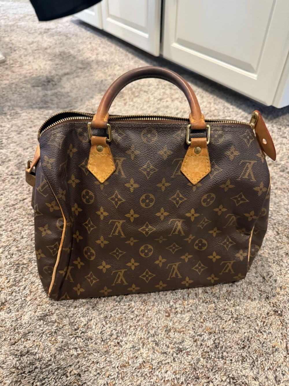 Louis vuitton speedy 30